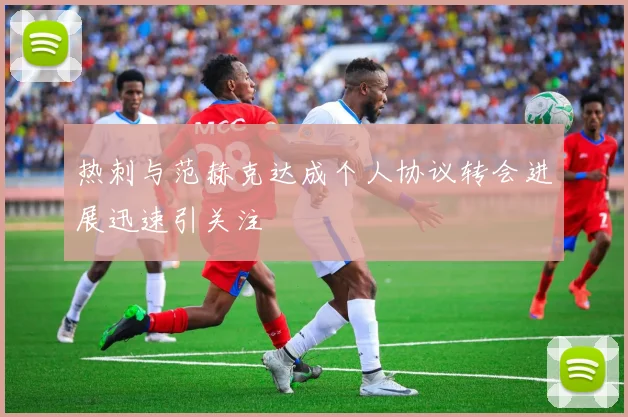 热刺与范赫克达成个人协议转会进展迅速引关注